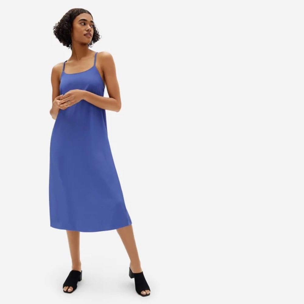 Everlane blue cross back dress